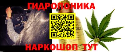 молекула духа Аргун